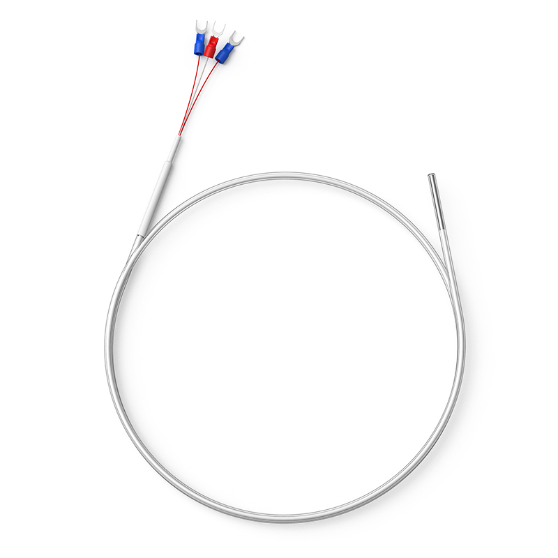 鐵氟龍熱電阻12_http://m.jscshy.cn_溫度儀表_第1張